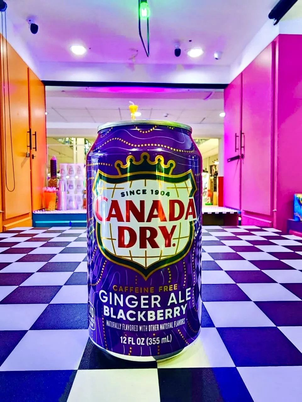 CANADA DRY - BLACKBERRY