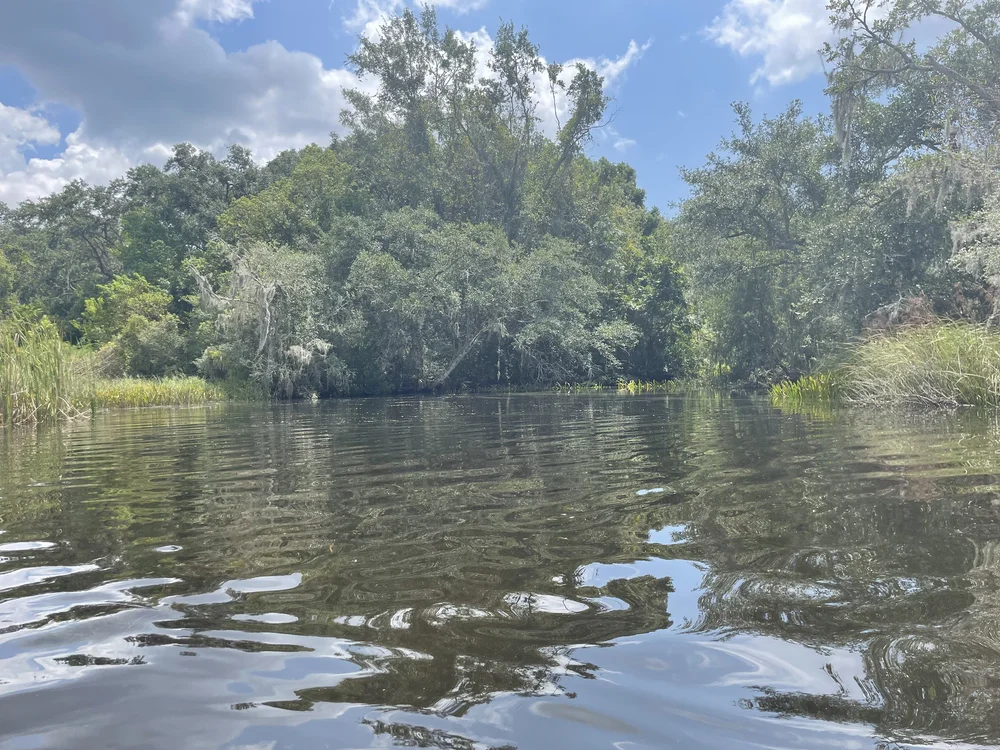 Best-10-Nature -Spots-on-the-MS-Gulf-Coast-14.jpeg