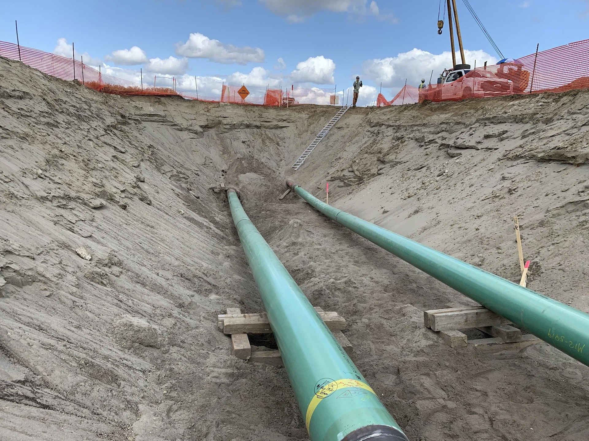Recovering a large piece of fossilized wood.