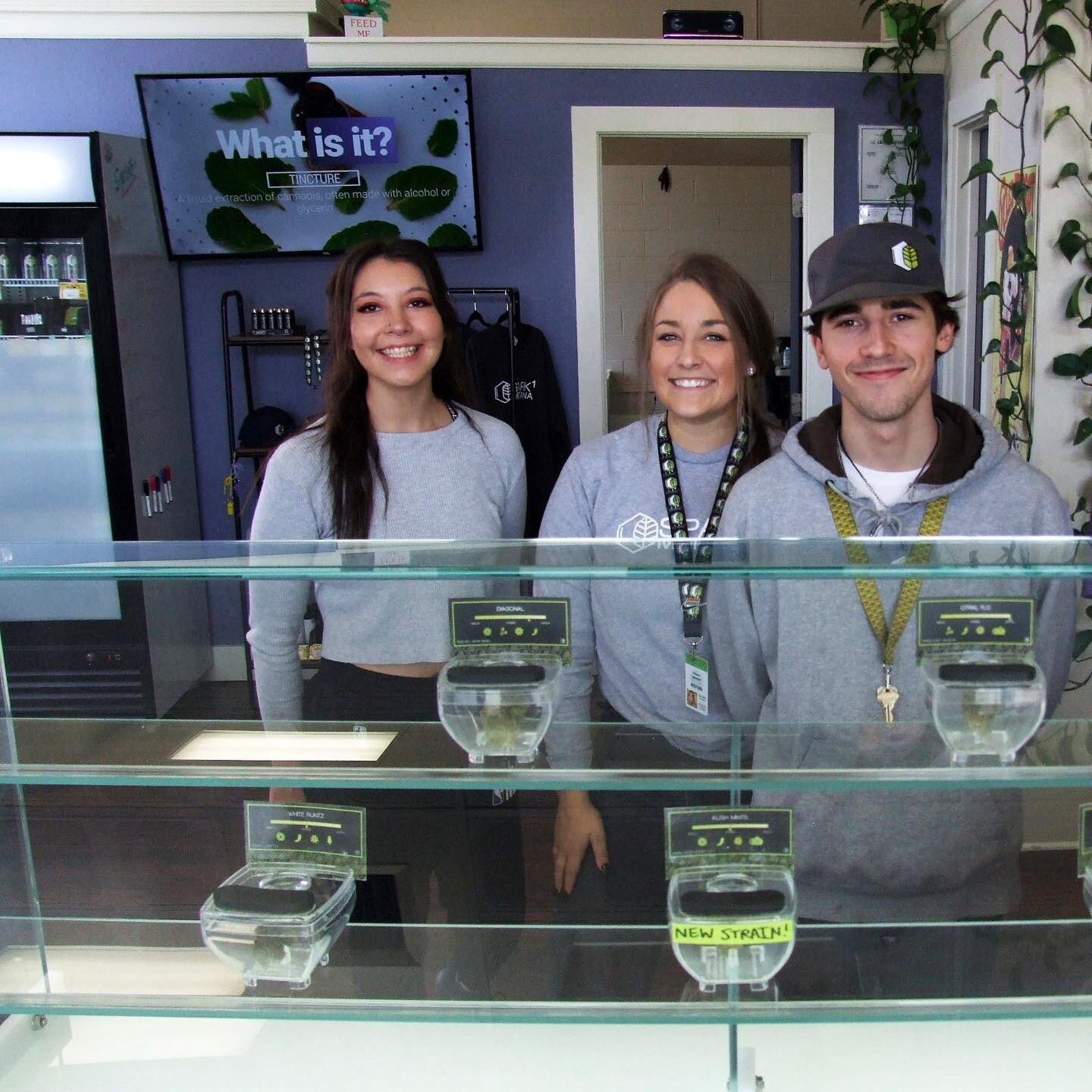 75% of our Spark staff is still here! We&rsquo;re excited to be selling recreational under our new brand♻️ Cannabis Corner! Come in and say ✨ hi to your awesome budtenders! 🥳💜 @naytha_raggedrobe @kaden.martinez.169