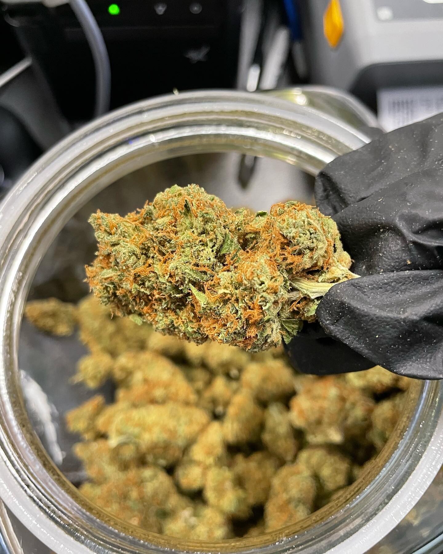 Our Lime Haze Sativa strain is glowing ✨ and our rice Krispy treats are 🔥 Stop on in and check out all the wonderful bud, edibles, and our awesome prices.