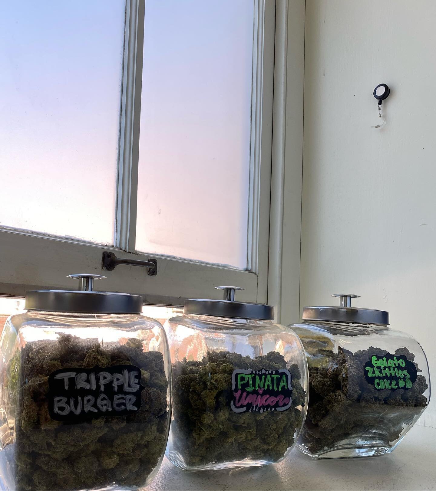Triple Burger🍔, Pi&ntilde;ata Unicorn🦄, Gelato Zkittles Cake🍰 Back In at Cannabis Corner come snag some delicious medicine 💚