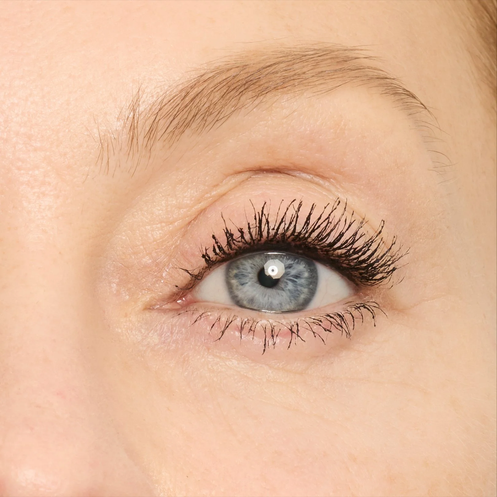 untitled folderMaybelline-Cosmetics-Falsies-Original-Blackest-Black-041554217957-LJ-Nelly-After_016_CVS.jpg