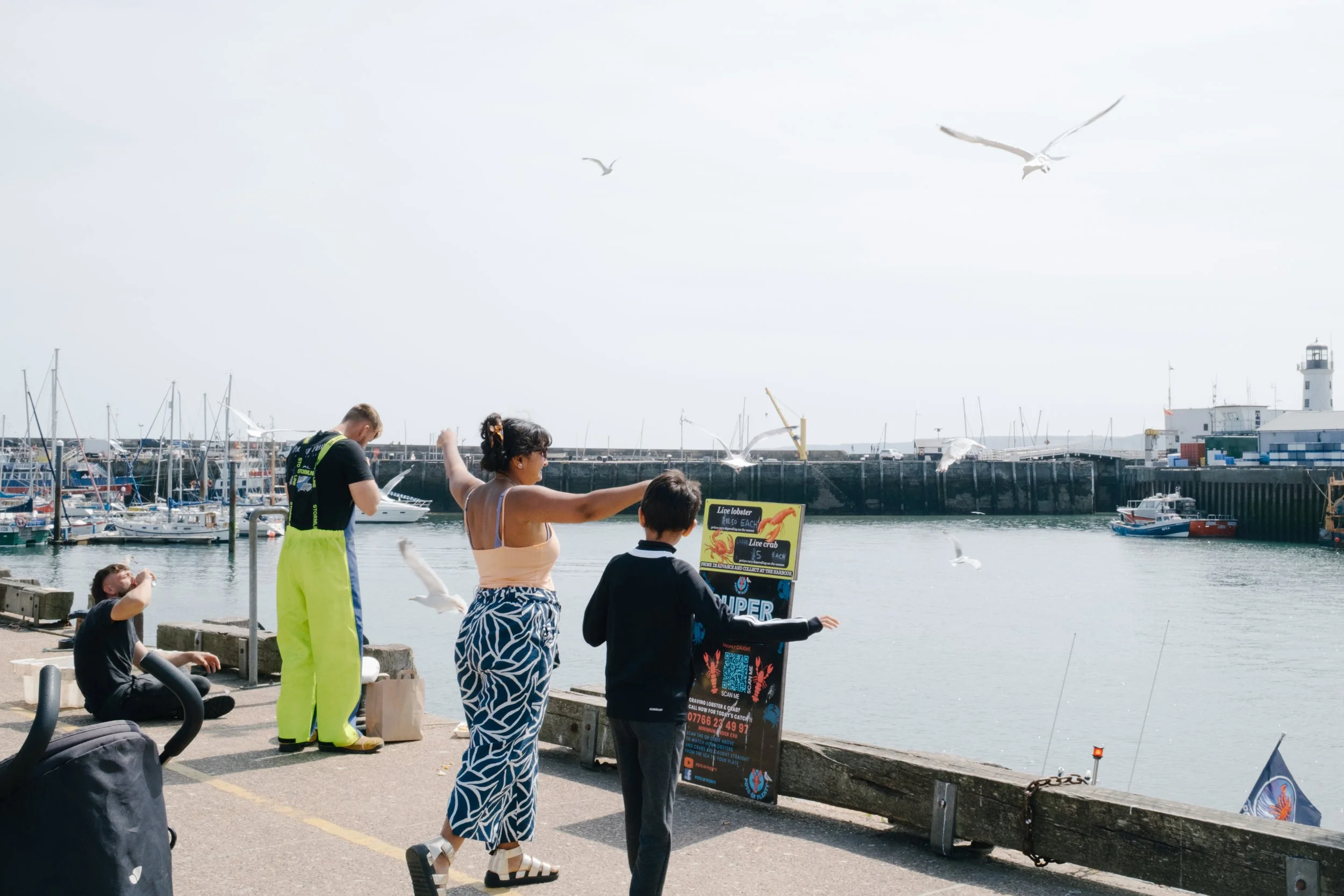 People near a marina with boats, seagulls flying overhead, and a lighthouse in the background.