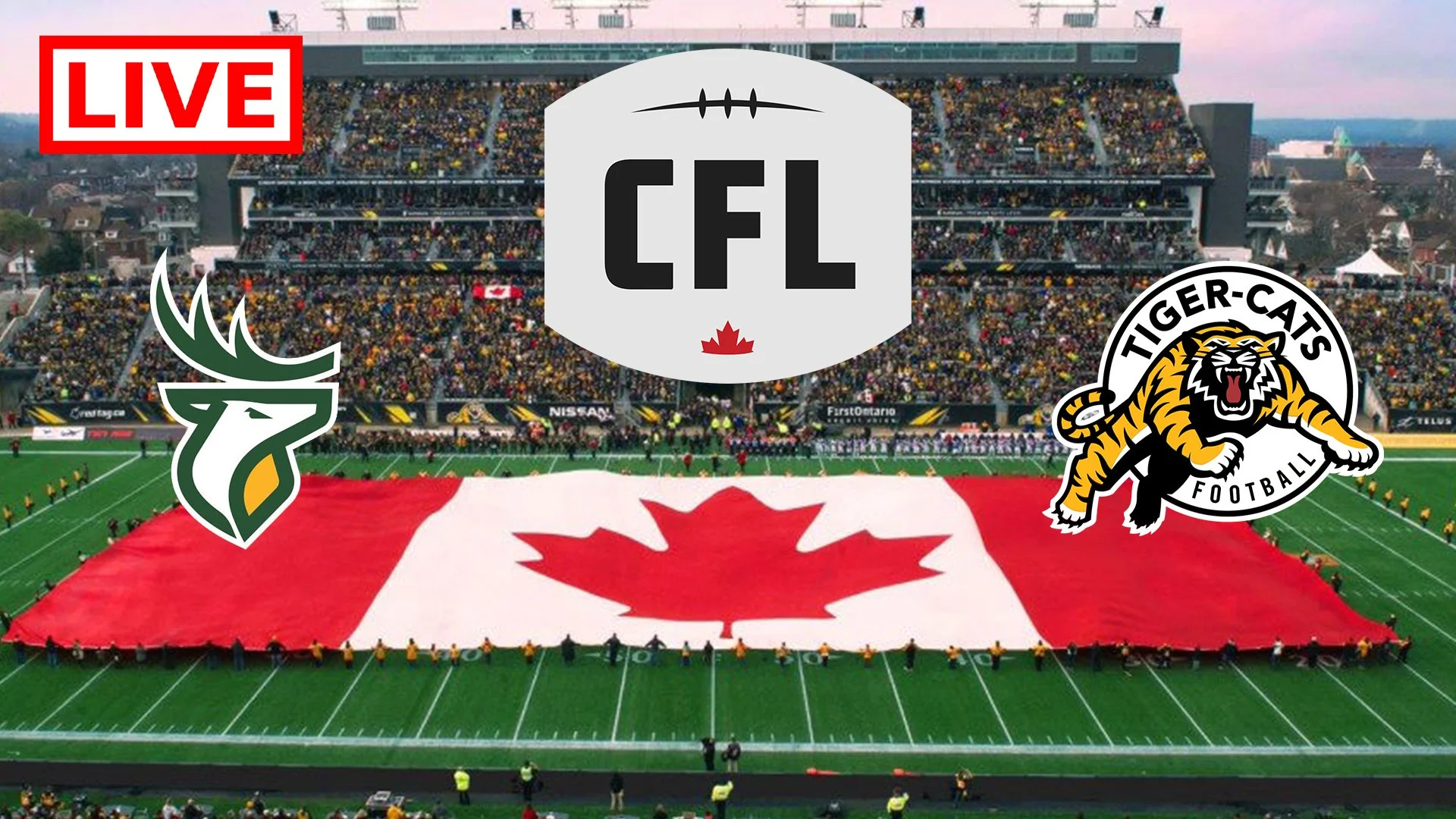 LIVE CFL Week 11 Pre-Game Show, Edmonton Elks at Hamilton TiCats + CFL Week 11 Preview!