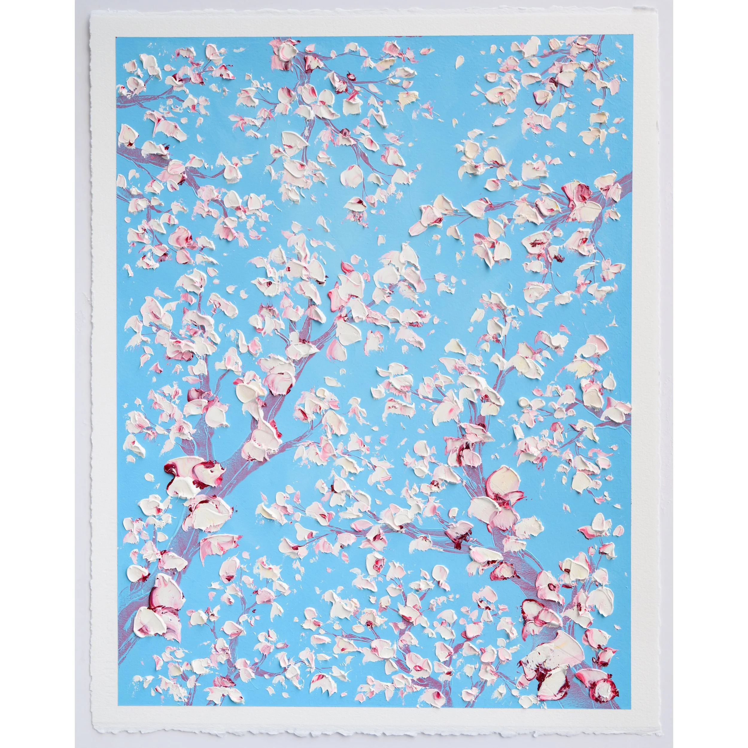 primavera_0003b.jpg