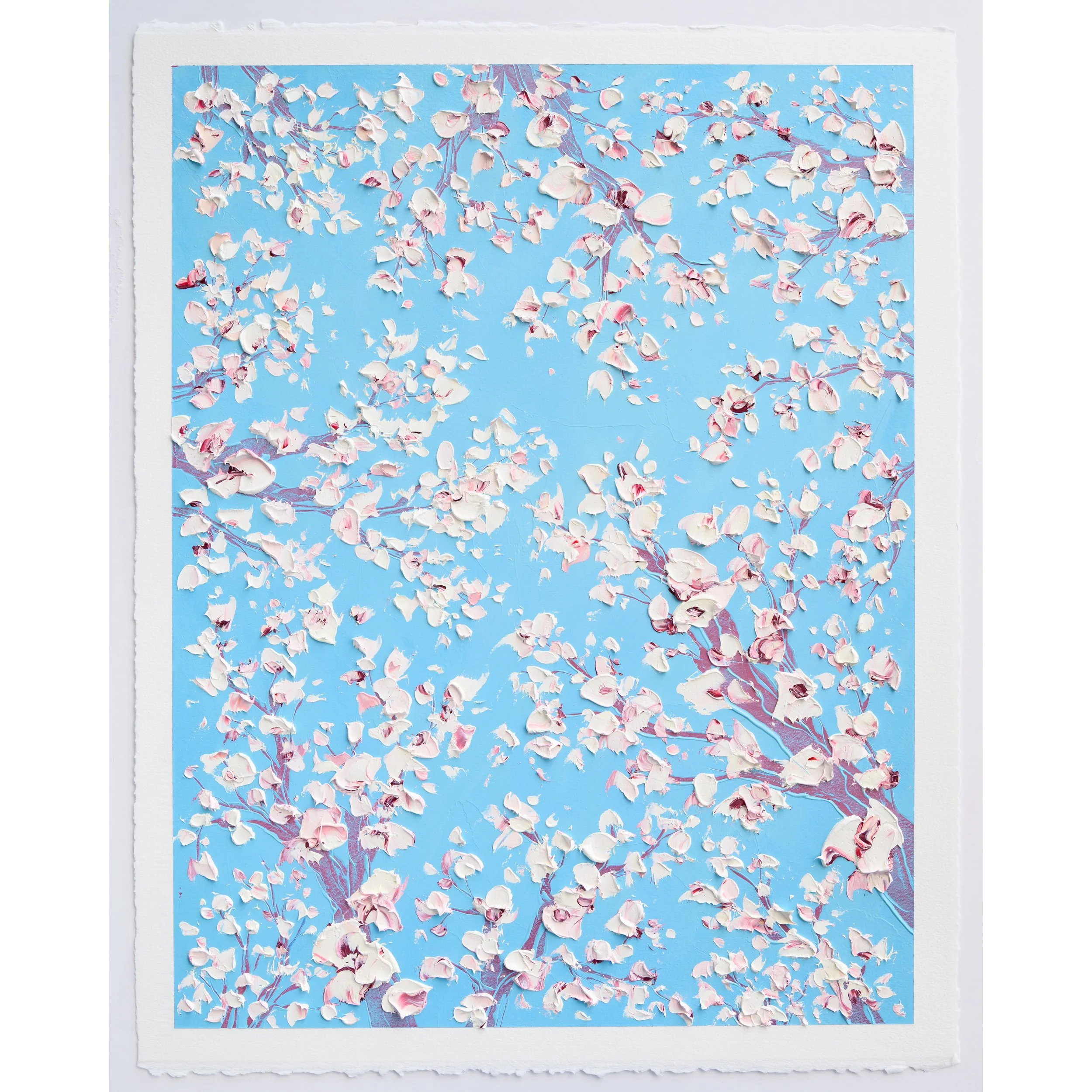 primavera_0001b.jpg