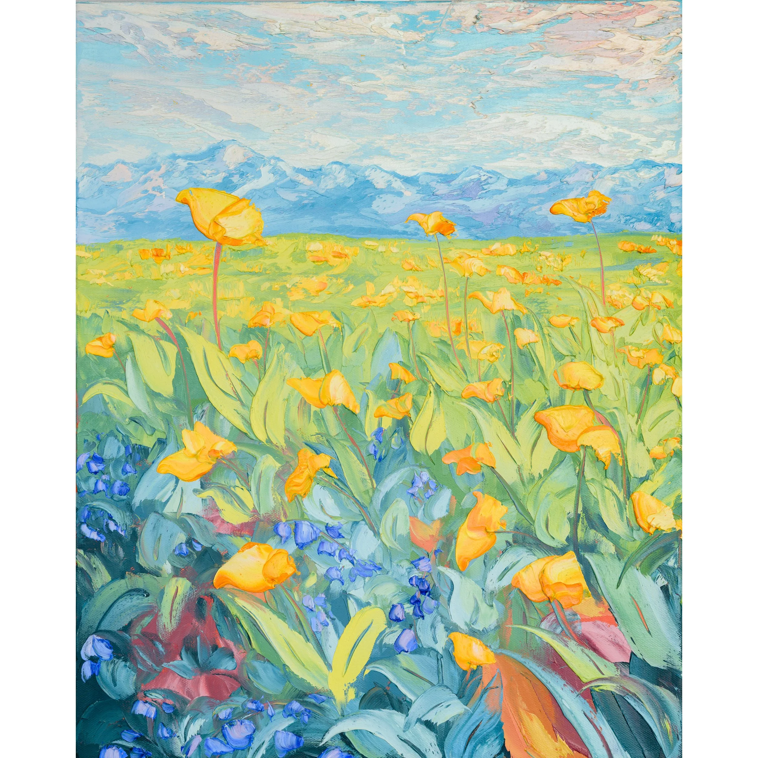 meadows_0001b.jpg