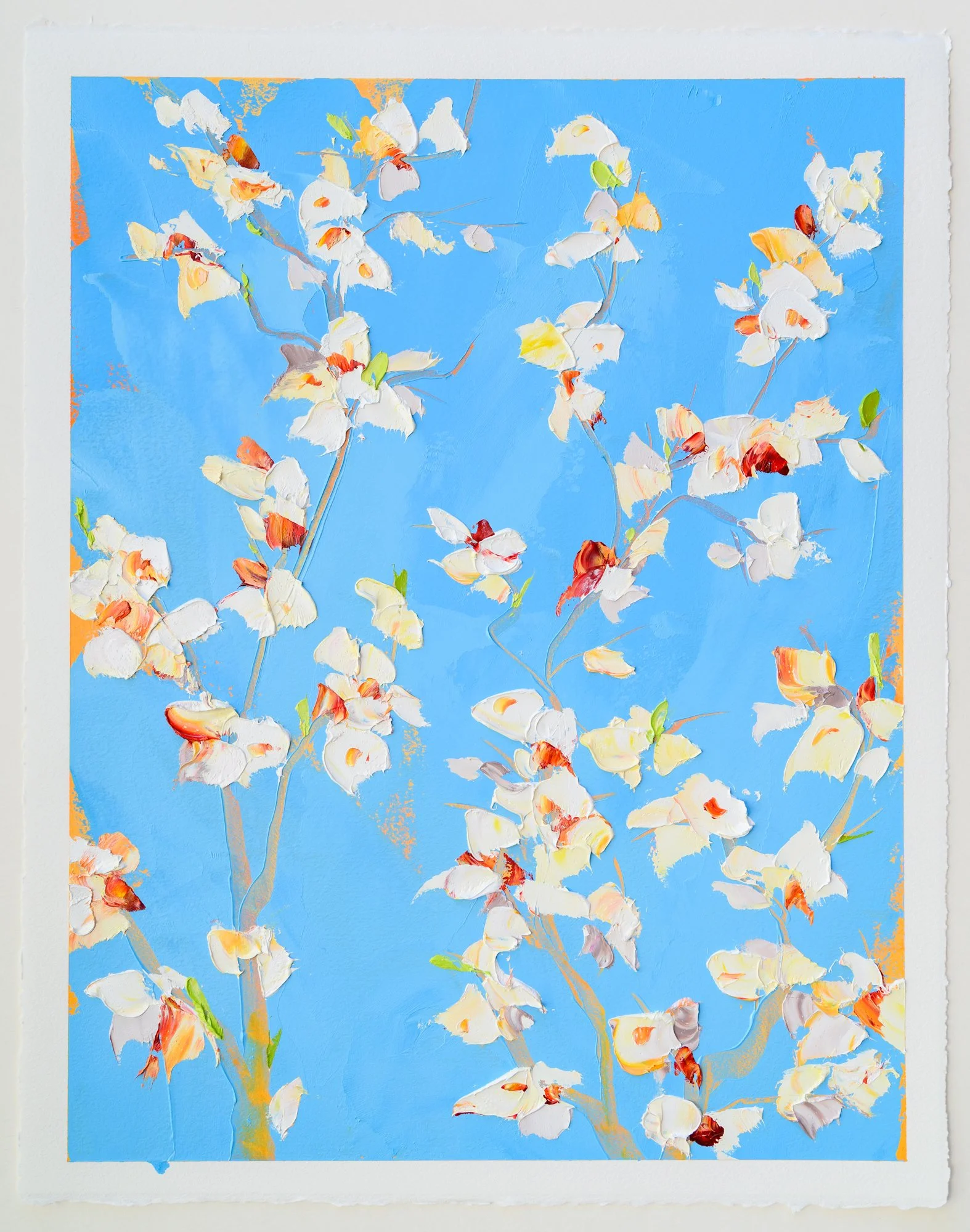 blossoms_0002.jpg