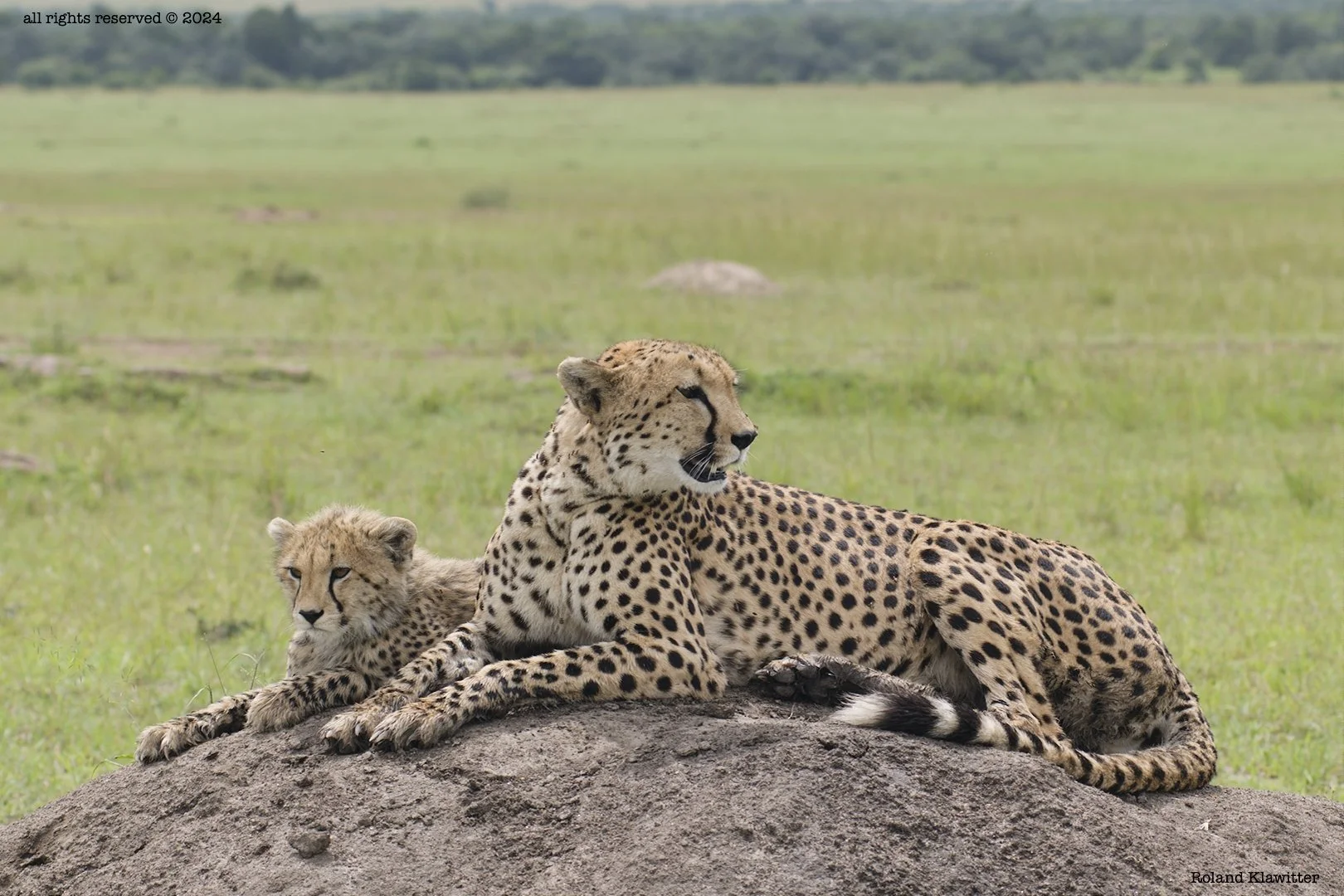 Kenya National Park