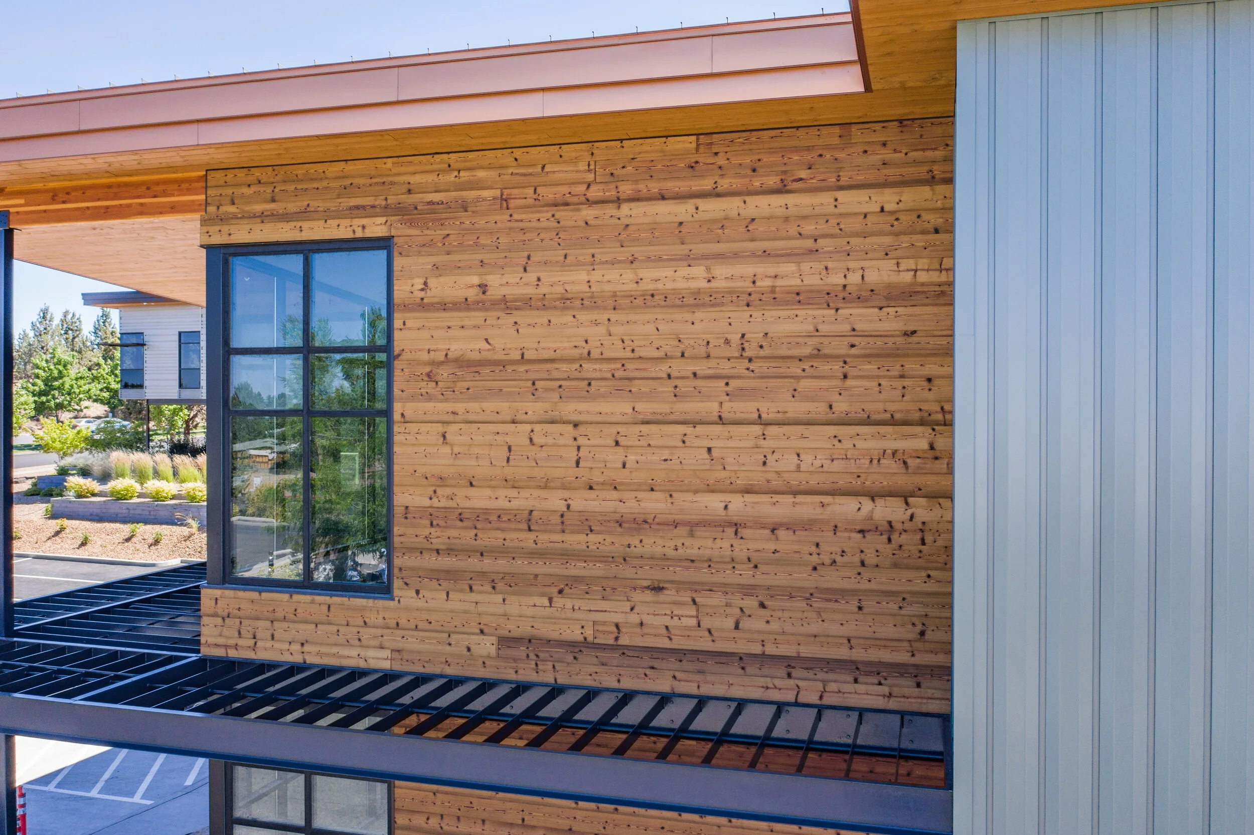 Peters Derm D823.JPG