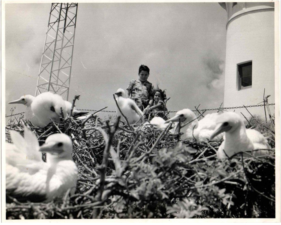 (7) Bill &amp; Pam Lighthouse May 1963
