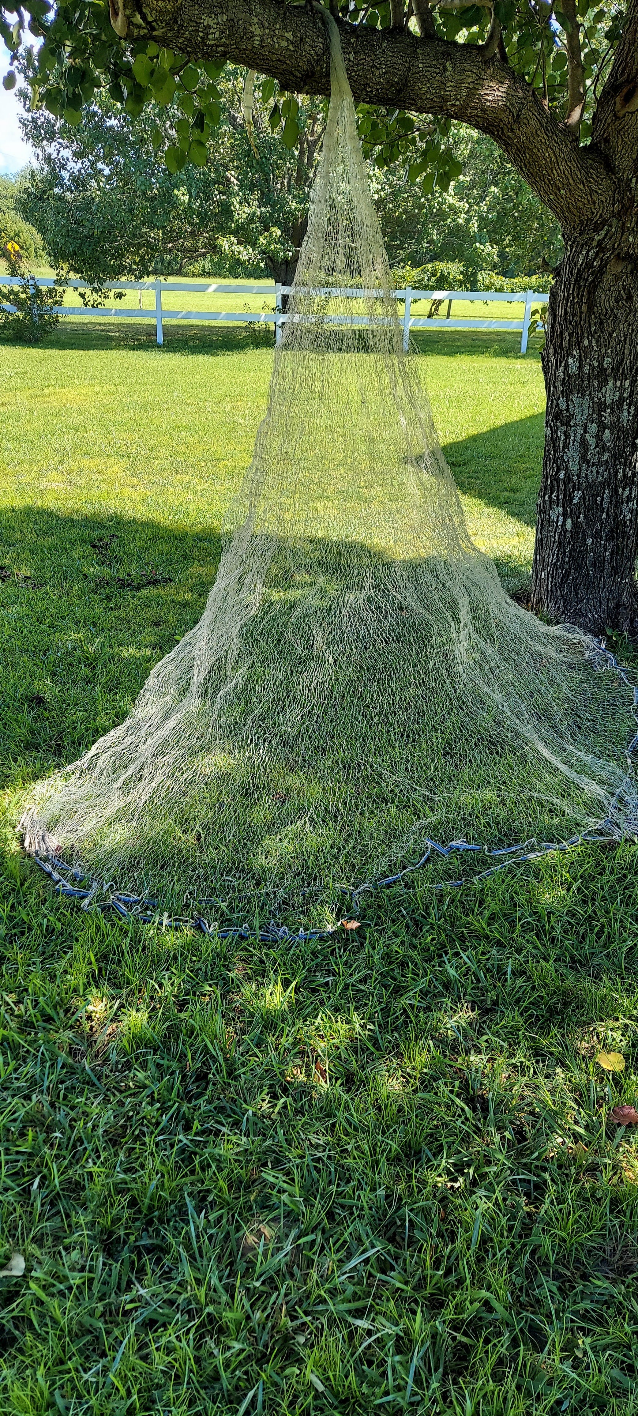 (10) Fishing Net