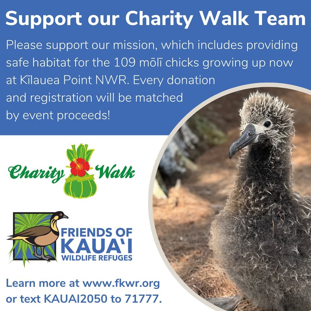 Charity Walk Kauaʻi is right around the corner! This year, it will be held on Saturday, May 4, 2024. Please join us as we raise funds to support our mission. All donations to our team will support our national wildlife refuges and native Hawaiian wil