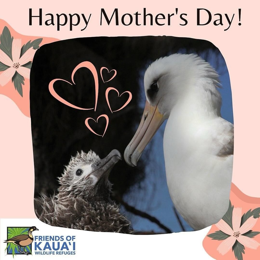 Celebrating all of the mothers near and far. Mahalo nui loa and hugs to each of you!
#mothersday