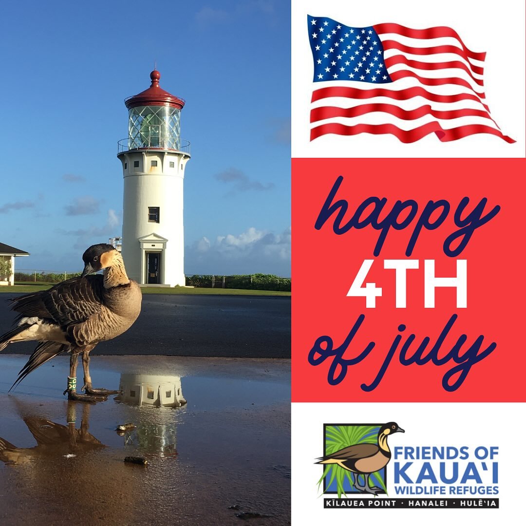 Wishing you and your ‘ohana a safe and Happy 4th of July! Mahalo nui loa for all that you do to support our work and advocate for our wildlife. As a reminder, Kīlauea Point NWR will be closed on Friday, July 4th for the federal holiday.