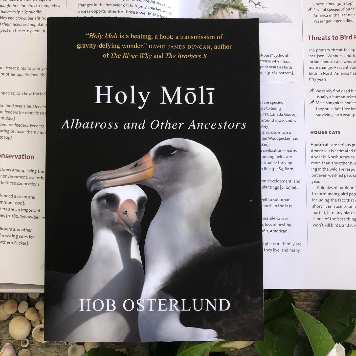 A great read, during the fledging season or anytime. In both our stores. Signed copies available while they last!