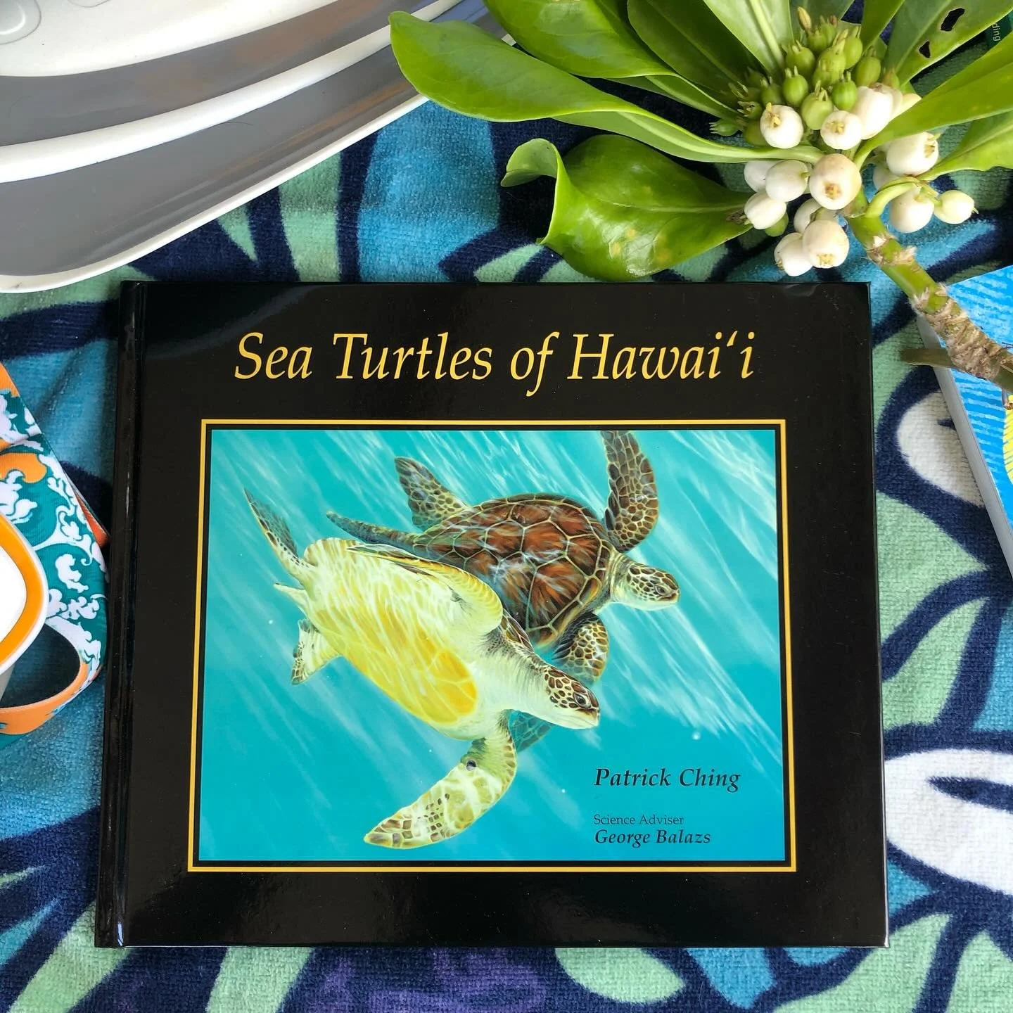 There is so much to learn about turtles, and this iconic book by Patrick Ching is a perfect place to start. Available at The Nature Store.