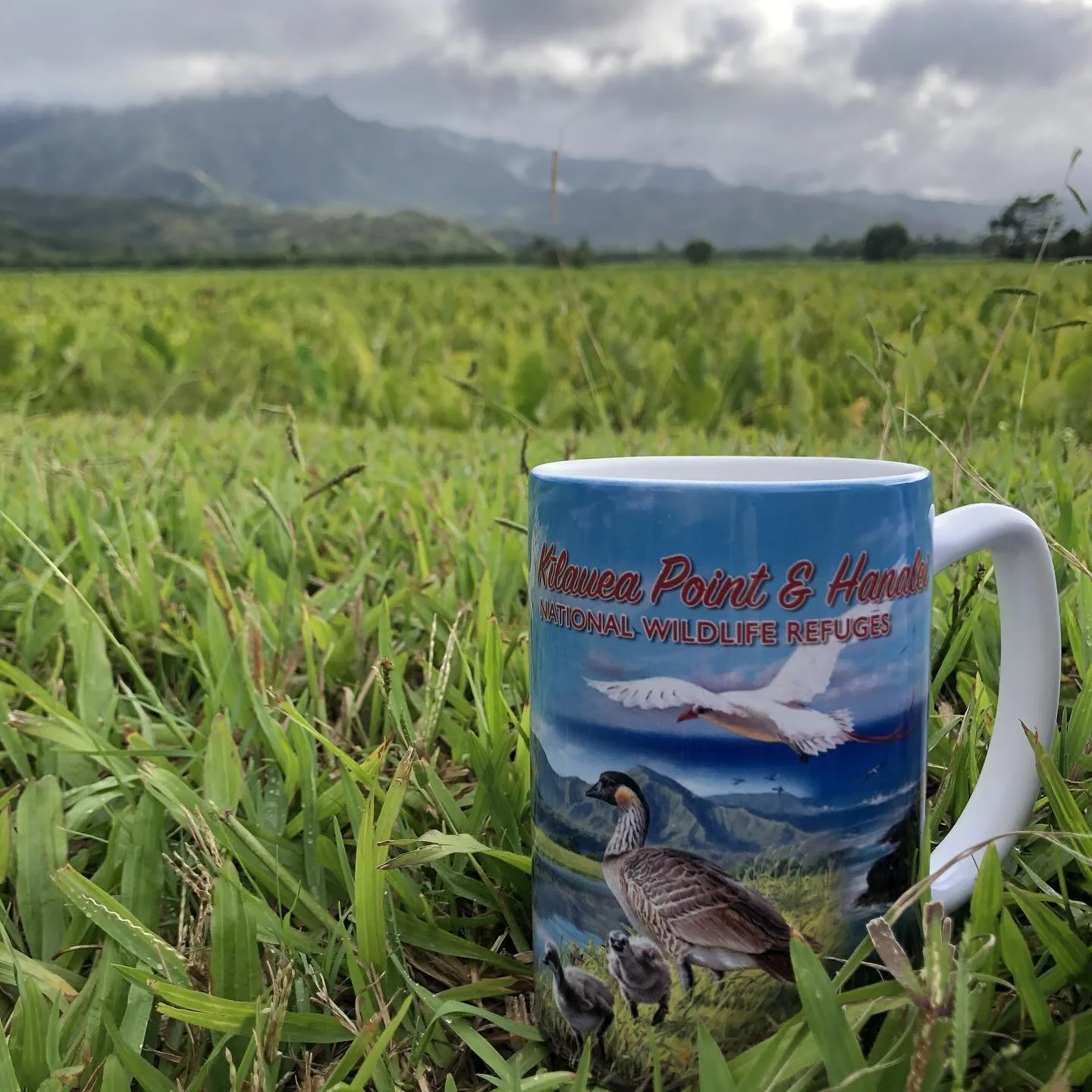 With a rush of fall rolling in off the Pacific, we’re warming up with our favorite mug inspired by Hanalei and Kīlauea—and dreaming of the koholā. Perfect for your morning coffee, tea, broth, or hot cocoa. Available now at the Nature Stor