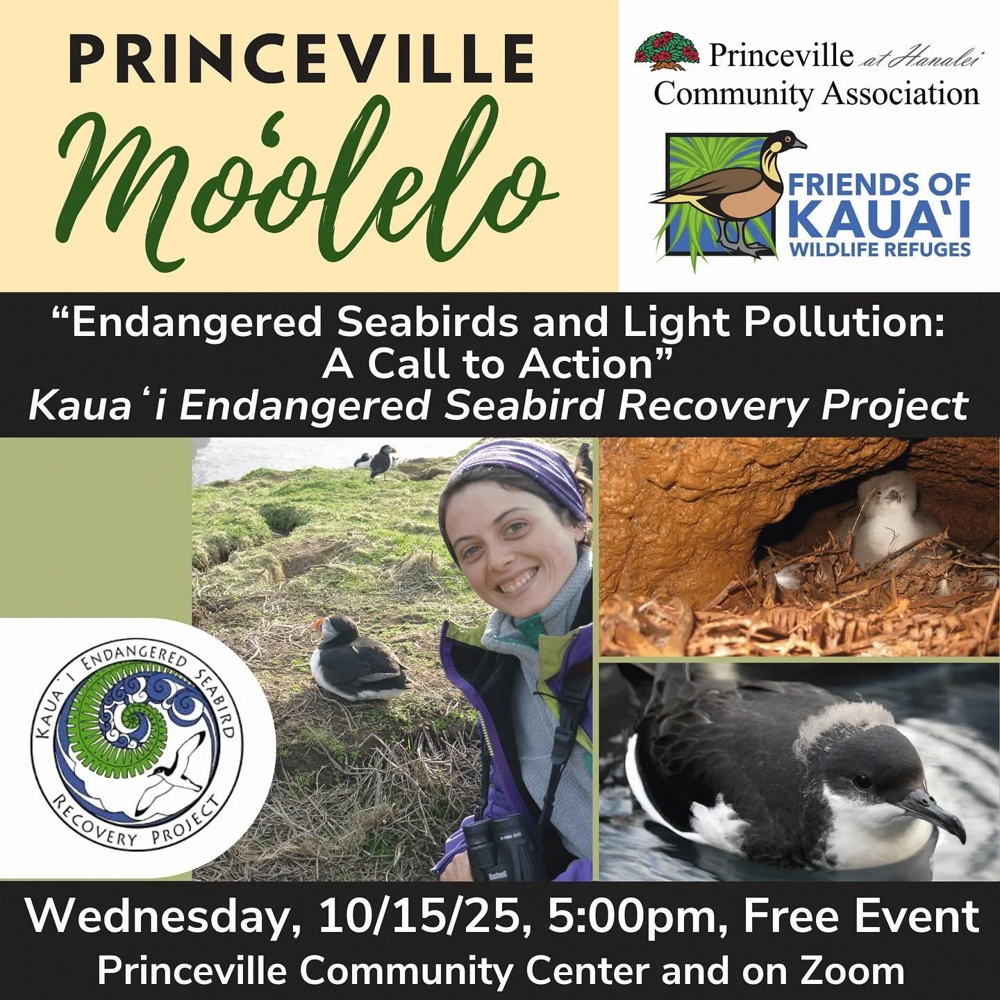 The Princeville Moʻolelo free lecture series will continue on Wednesday, October 15th. We are in seabird fallout season, an important time to highlight the work of the Kaua‘i Endangered Seabird Recovery Project (KESRP).
KESRP is a project of