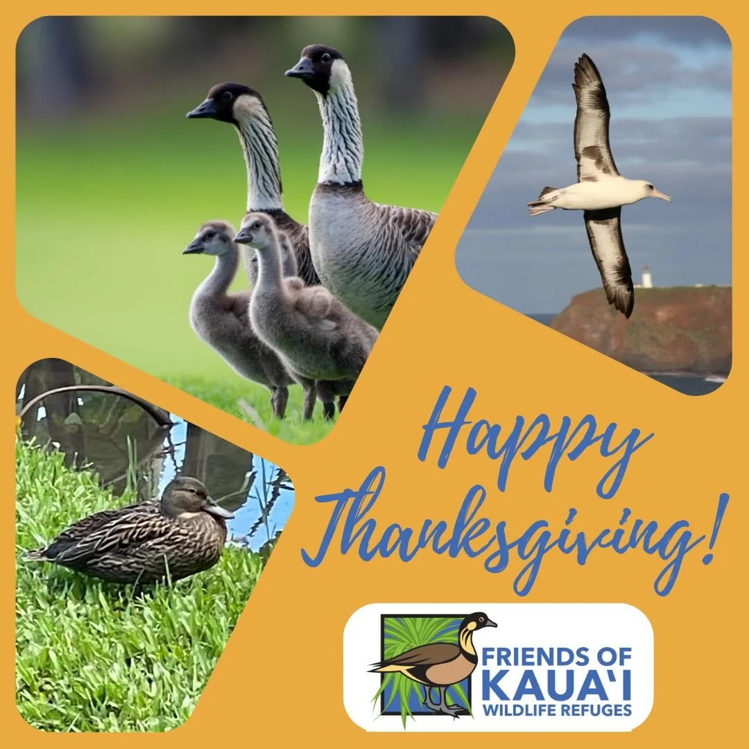 Wishing you and your &lsquo;ohana a very Happy Thanksgiving. We deeply appreciate you!