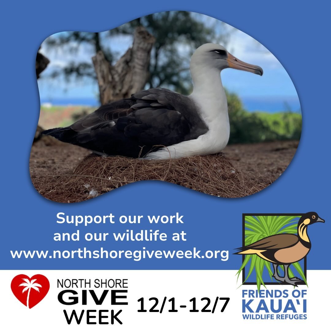 We invite you to support our work and our wildlife, along with other wonderful nonprofit organizations serving our North Shore community! Coinciding with National Giving Tuesday, this week-long event highlights the positive impact of nonprofits servi
