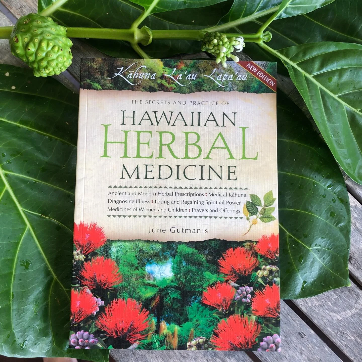 Medicine practiced by the ancient Hawaiians is gaining renewed attention as a powerful alternative to modern methods. 🌿
This book shares time-honored remedies for everyday ailments&mdash;wisdom gathered from historical documents and heartfelt interv