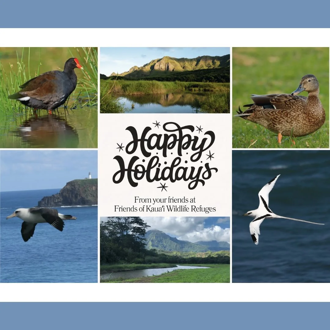 Your steadfast support of our mission and wildlife makes all our work possible. As the end of the year approaches, we would like to extend a huge mahalo for your friendship, support, advocacy and generosity - and wish you and your &lsquo;ohana Happy 
