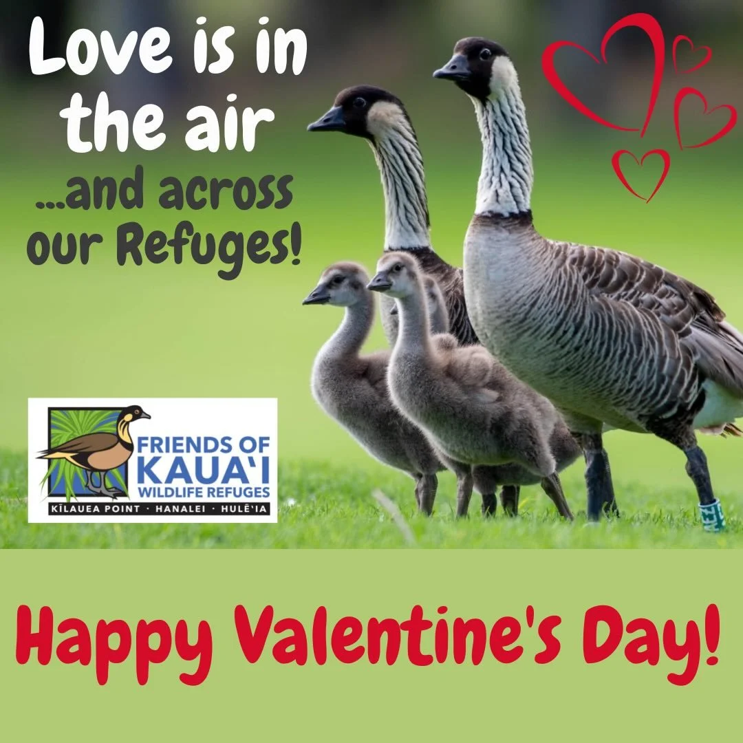 From our ʻohana to yours...wishing you a very Happy Valentine&rsquo;s Day!