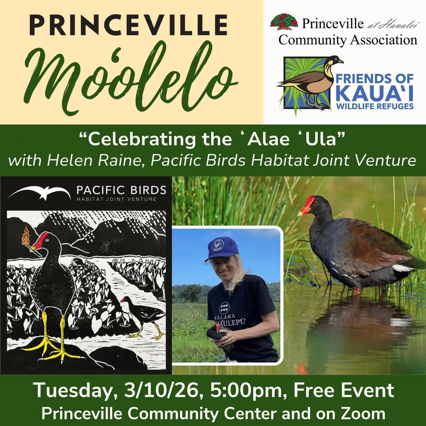 TODAY&hellip;Our Princeville Moʻolelo free lecture series will continue on Tuesday, March 10th as we learn more about the ʻalae ʻula, an endangered Native Hawaiian waterbird that needs our kōkua. This year, Pacific Birds Habitat Joint Venture is cele
