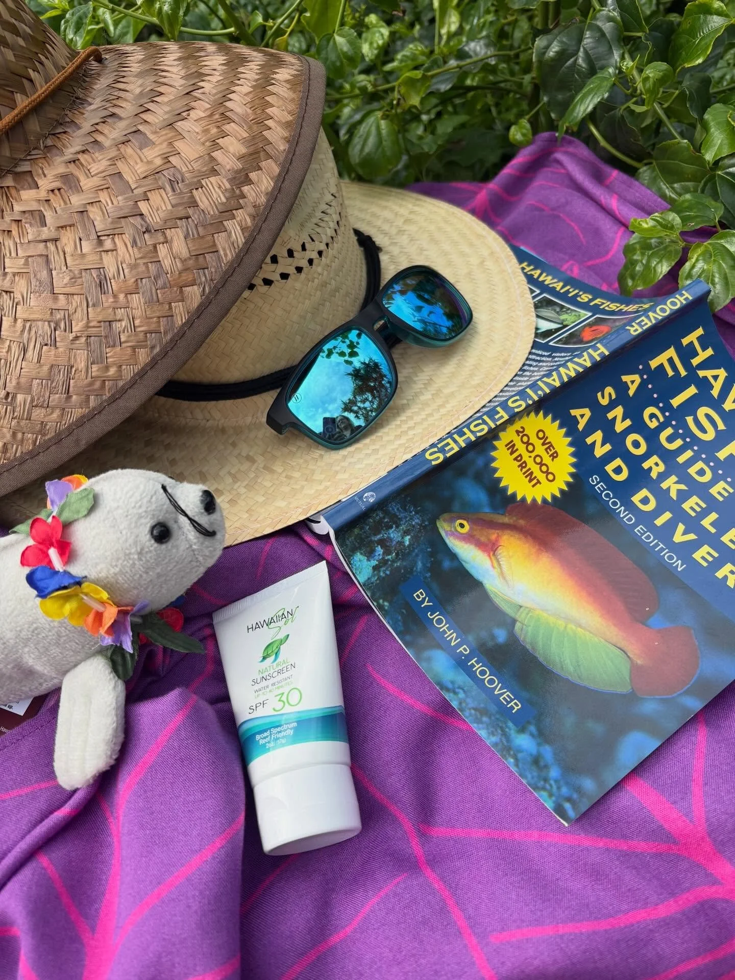 Spring on Kaua&lsquo;i 🌿✨

Cooler nights, warmer days, longer light, and slowing down just enough to notice what really matters. Traveling light includes reef-safe sunscreen and carrying only what you need.

A simple day can hold everything: shade f