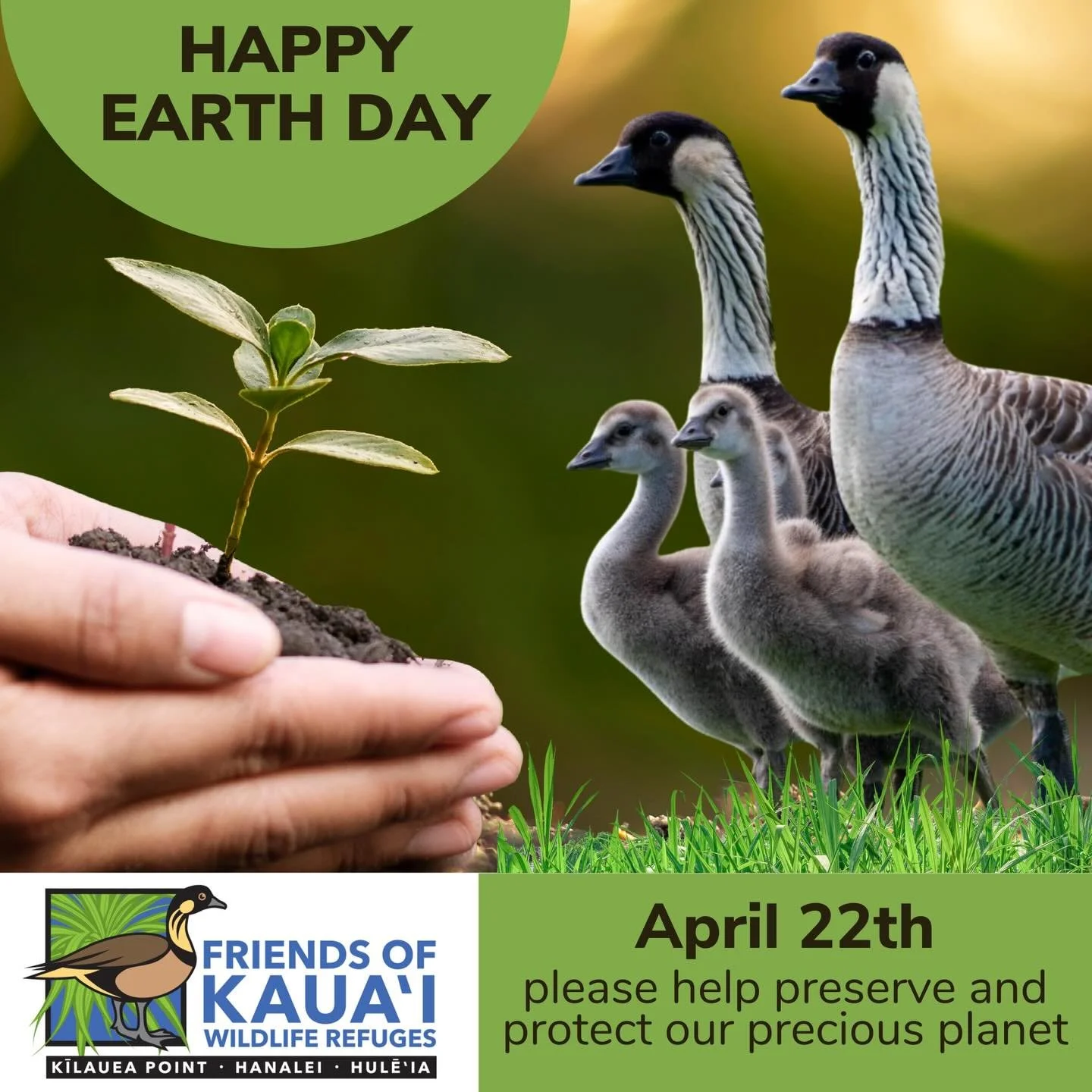 April 22nd is Earth Day! Join us by taking simple actions to protect the environment: reduce waste by using reusable items, plant native trees or flowers to support wildlife and pollinators, participate in a local beach cleanup, and enjoy nature thro