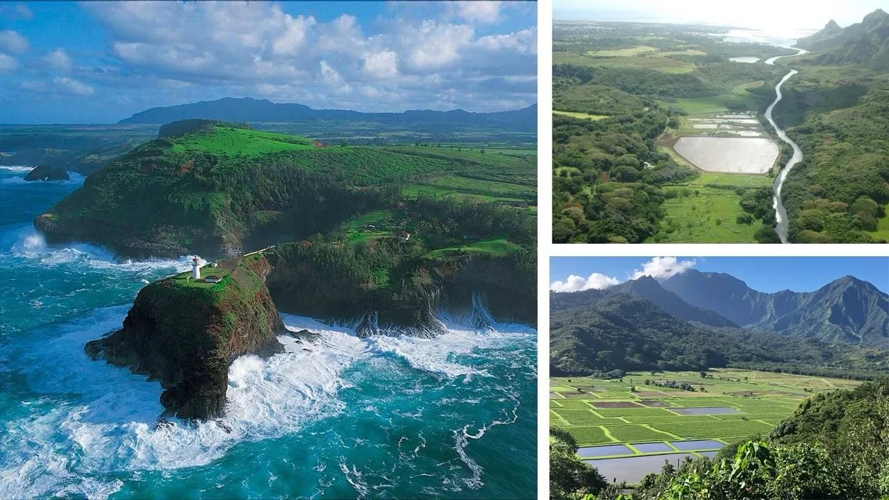 Are you interested, or do you know someone who might be interested in working in conservation? We are partnering with American Conservation Experience (ACE) to hire 2 Biology Support Members to contribute to biology projects under the mentorship of K