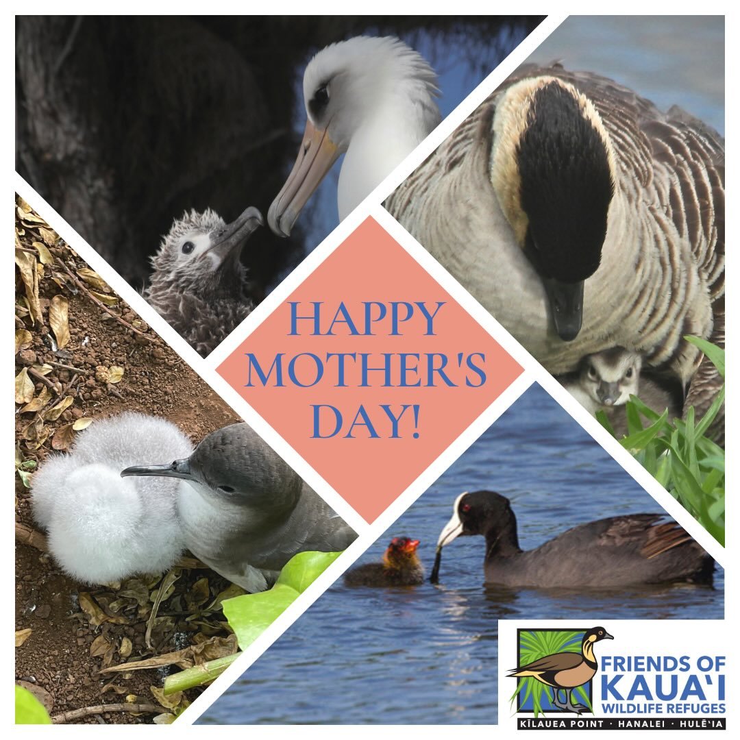 Happy Mother&rsquo;s Day to all of the moms out there who help make our world a better place!
#mothersday❤️