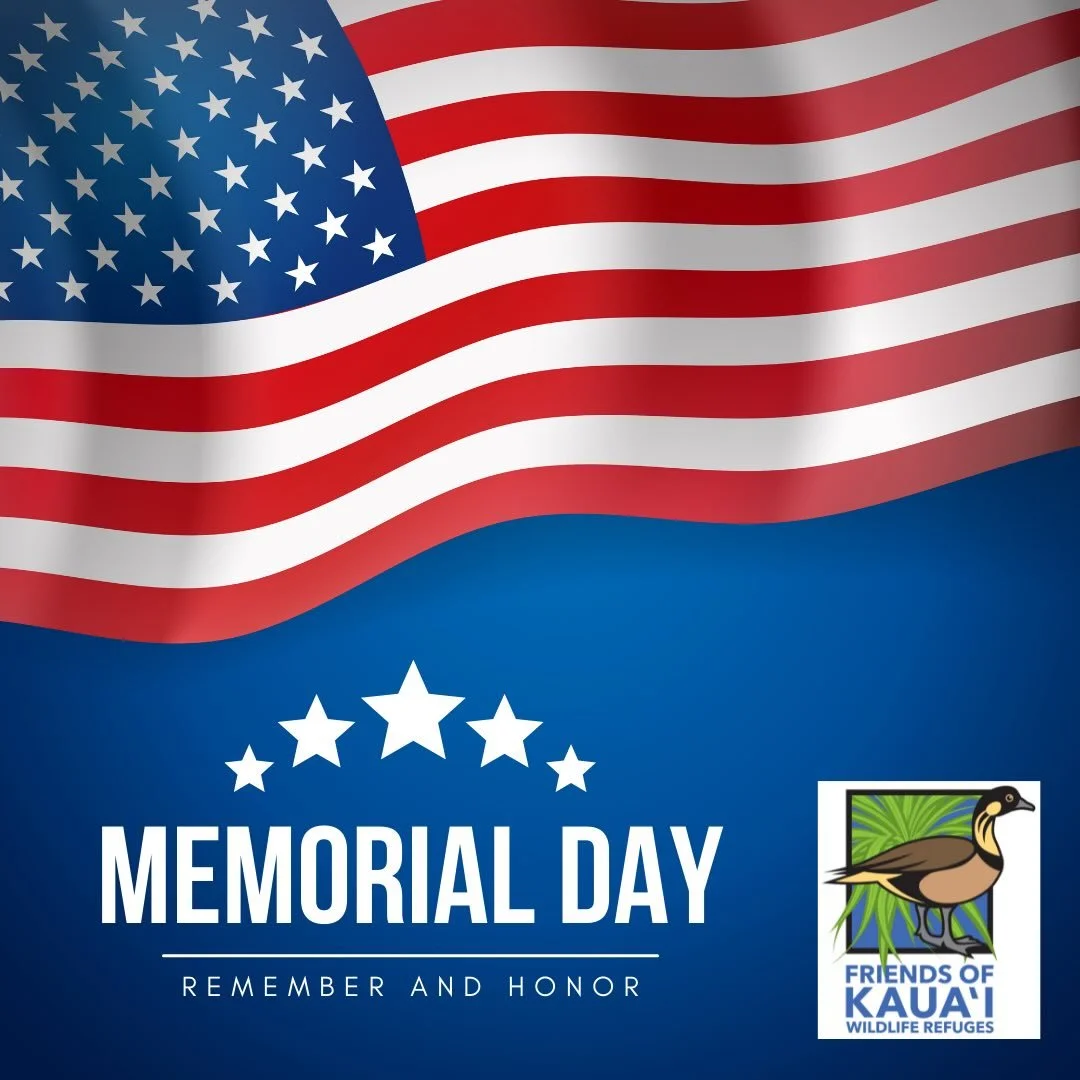 Today we pause to honor and remember all those who have served our country. #memorialday