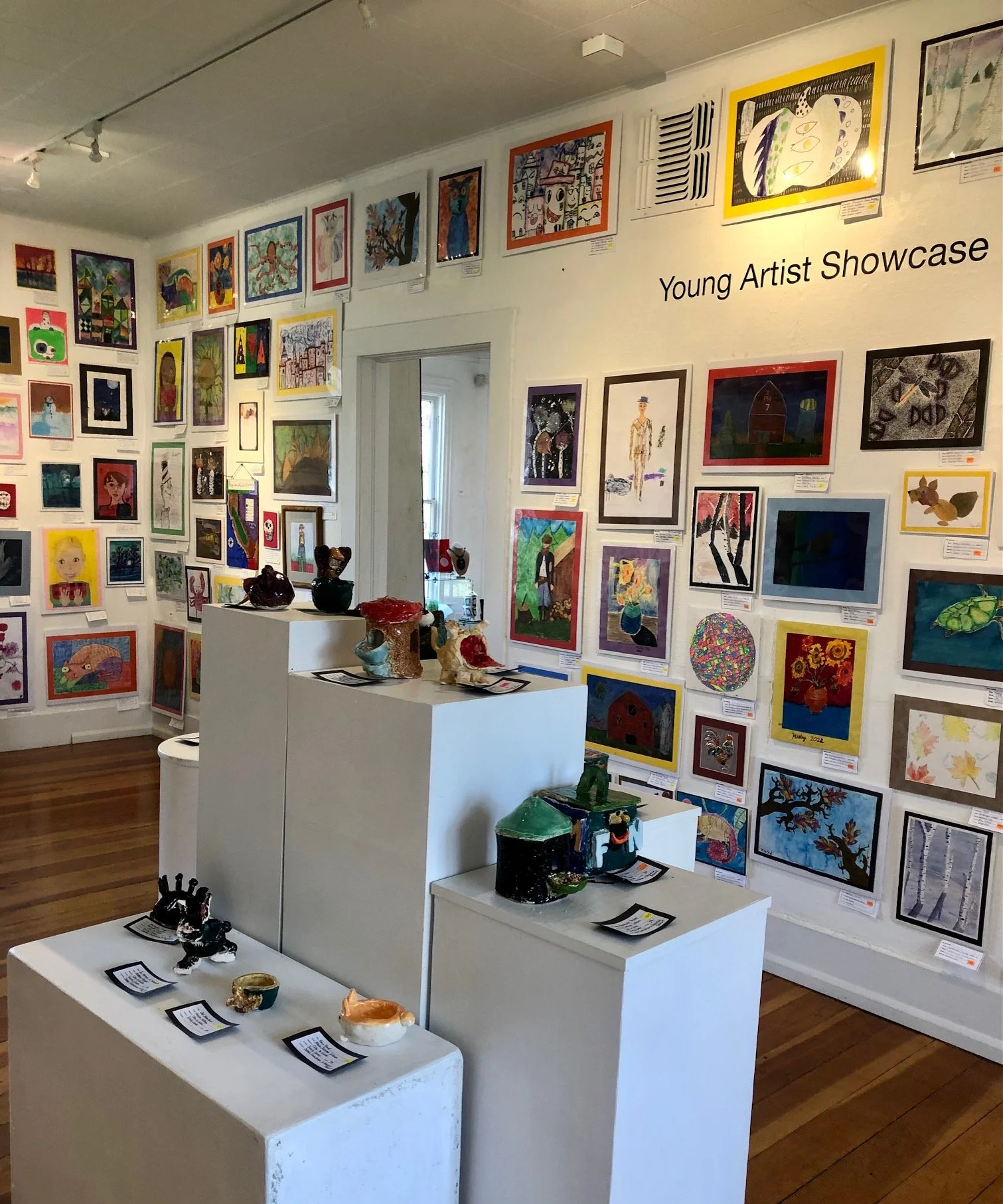 ANNUAL: Young Artist Showcase