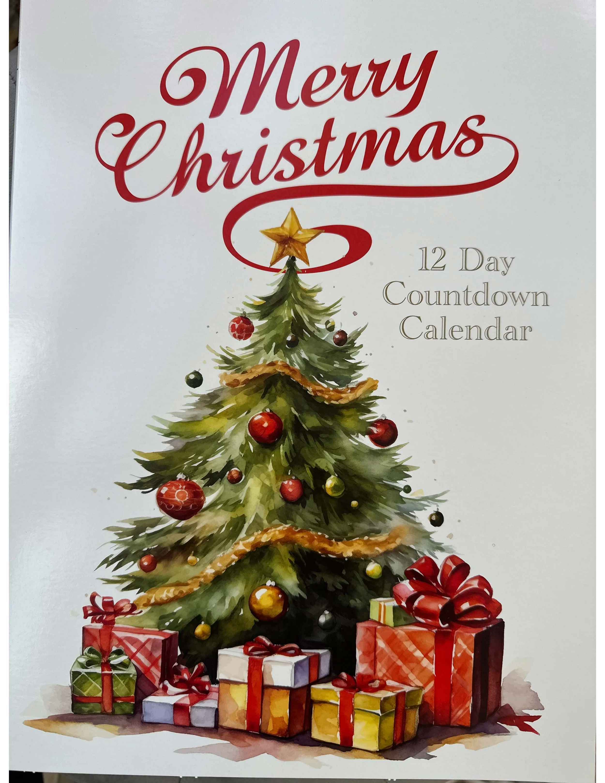 WHITE 12 DAY COVER.jpg