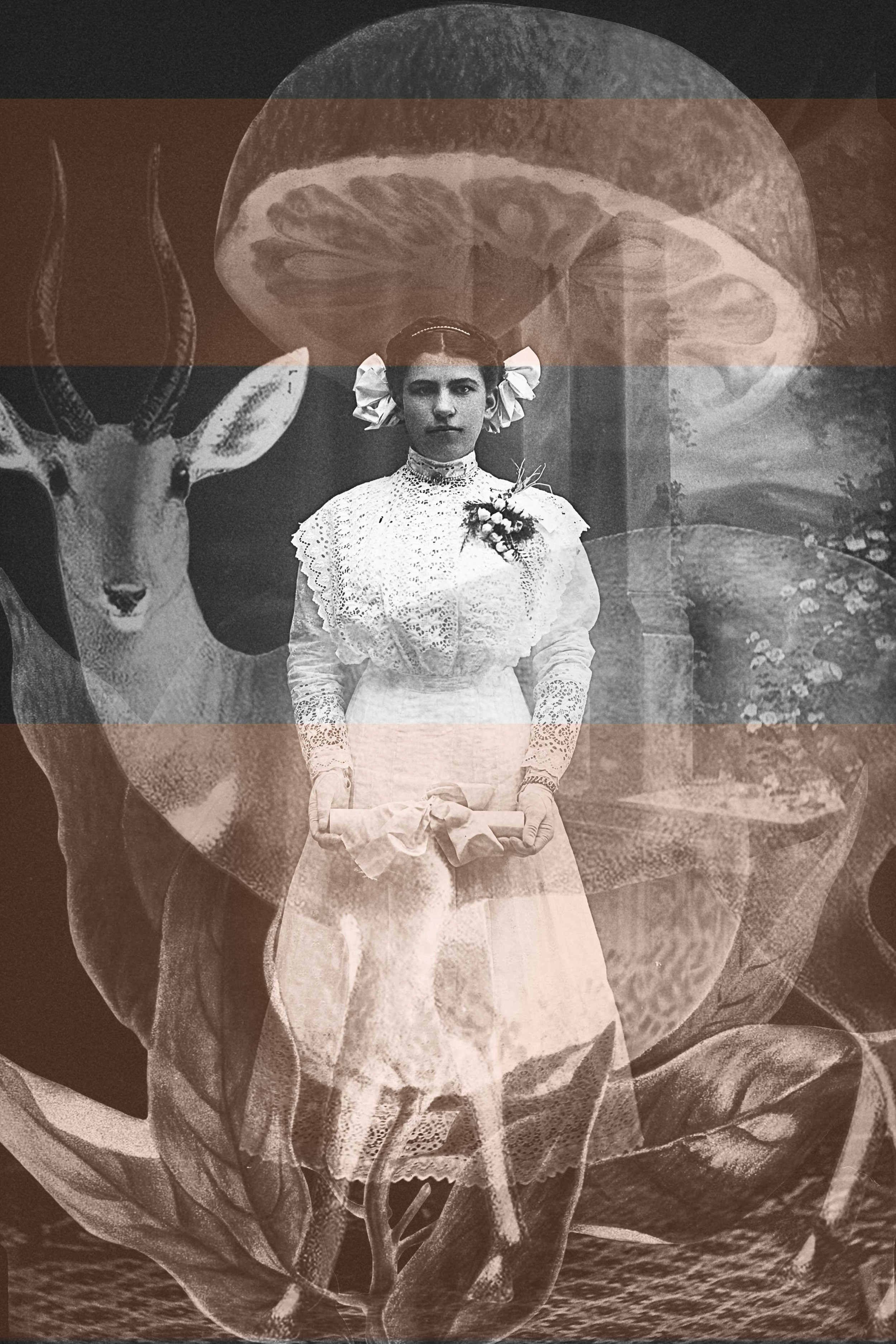 glass-negative-10antelopeorange2.jpg