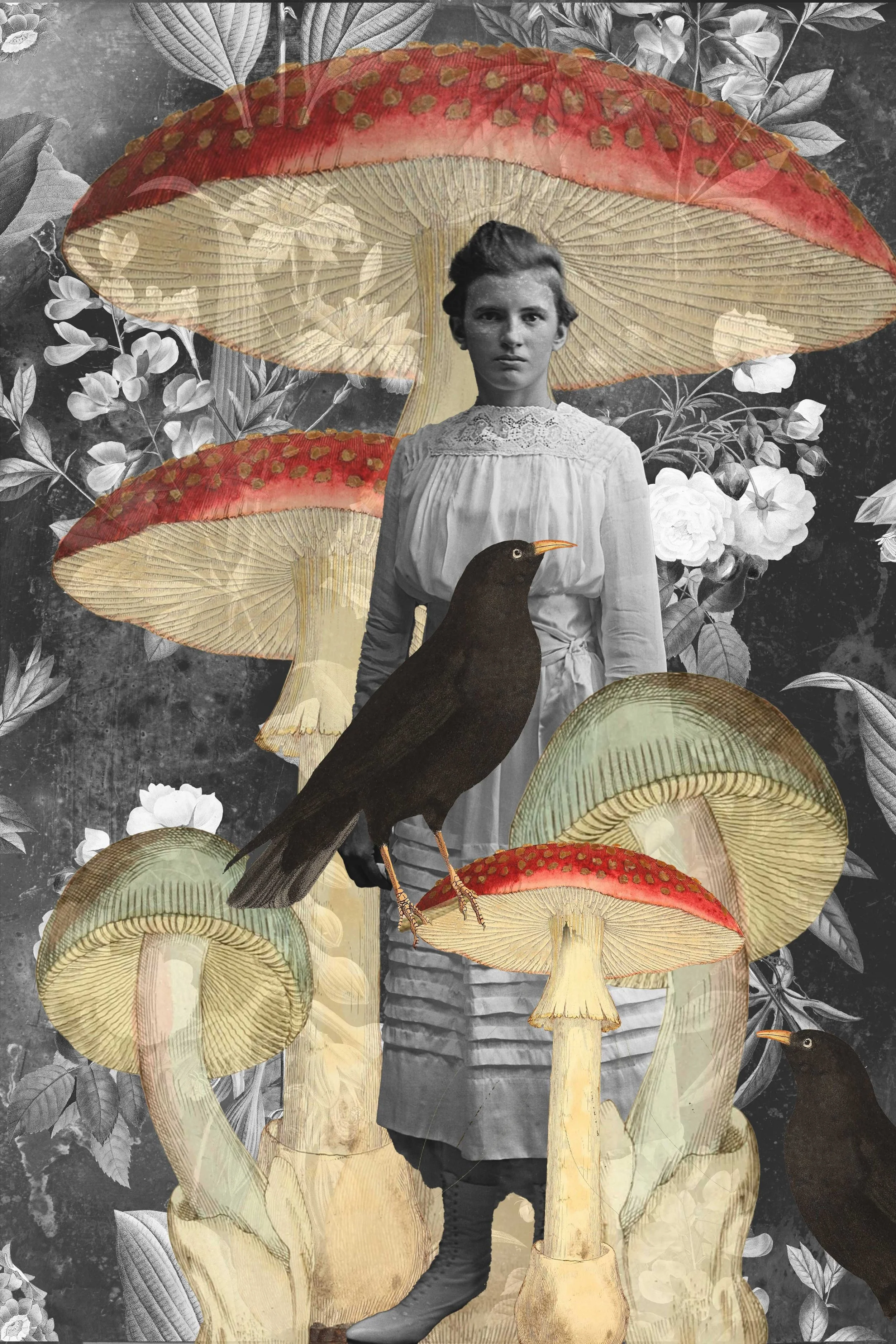 glass-negative-8colormush.jpg