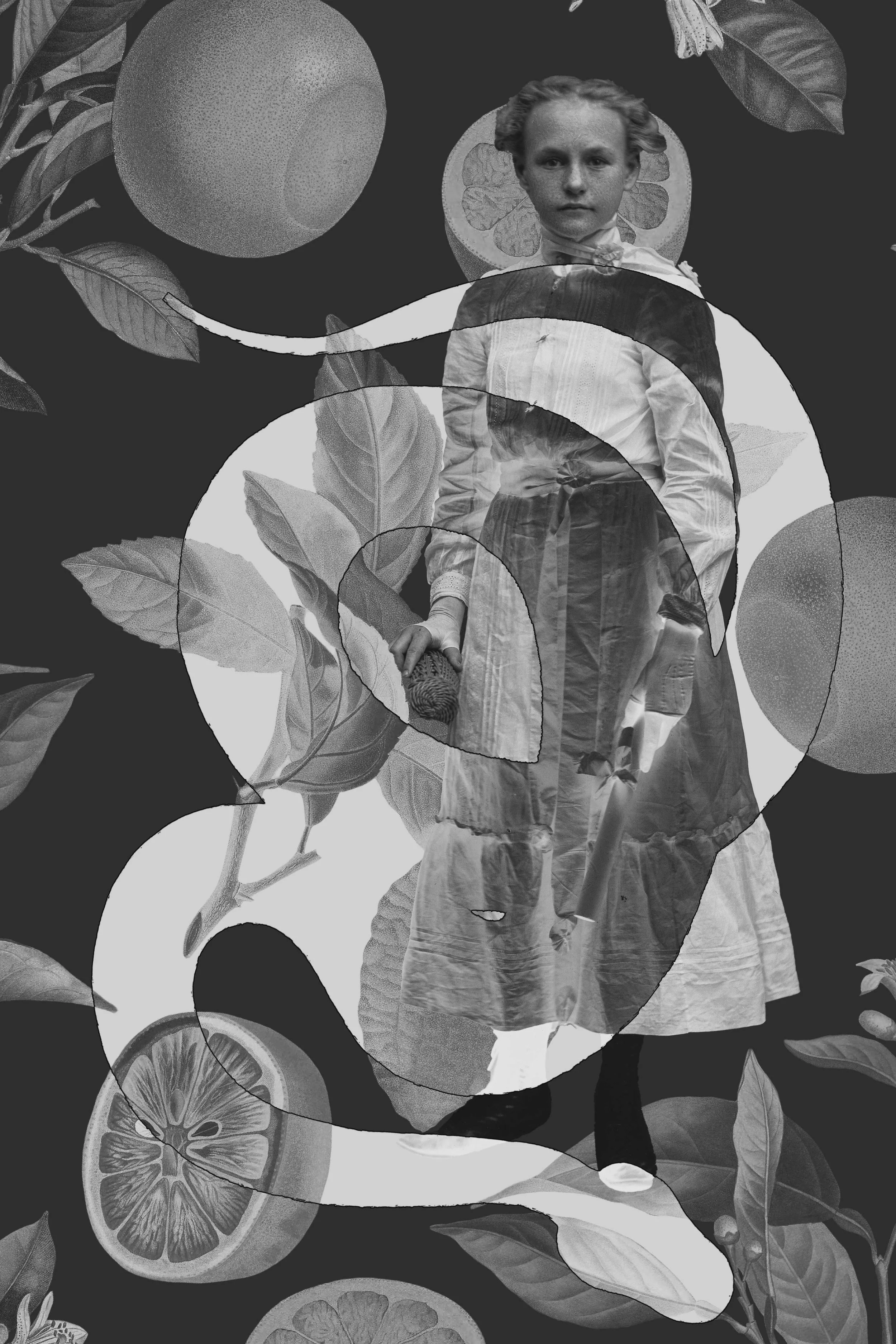glass-negative-11.jpg