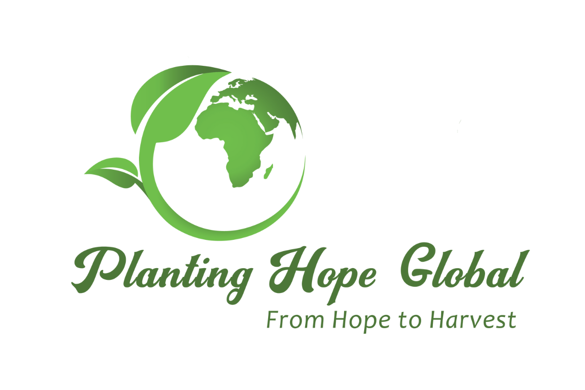 Client list_musefly (2).png