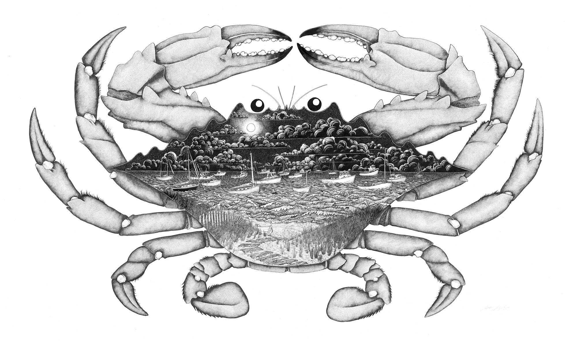 Blue Crab