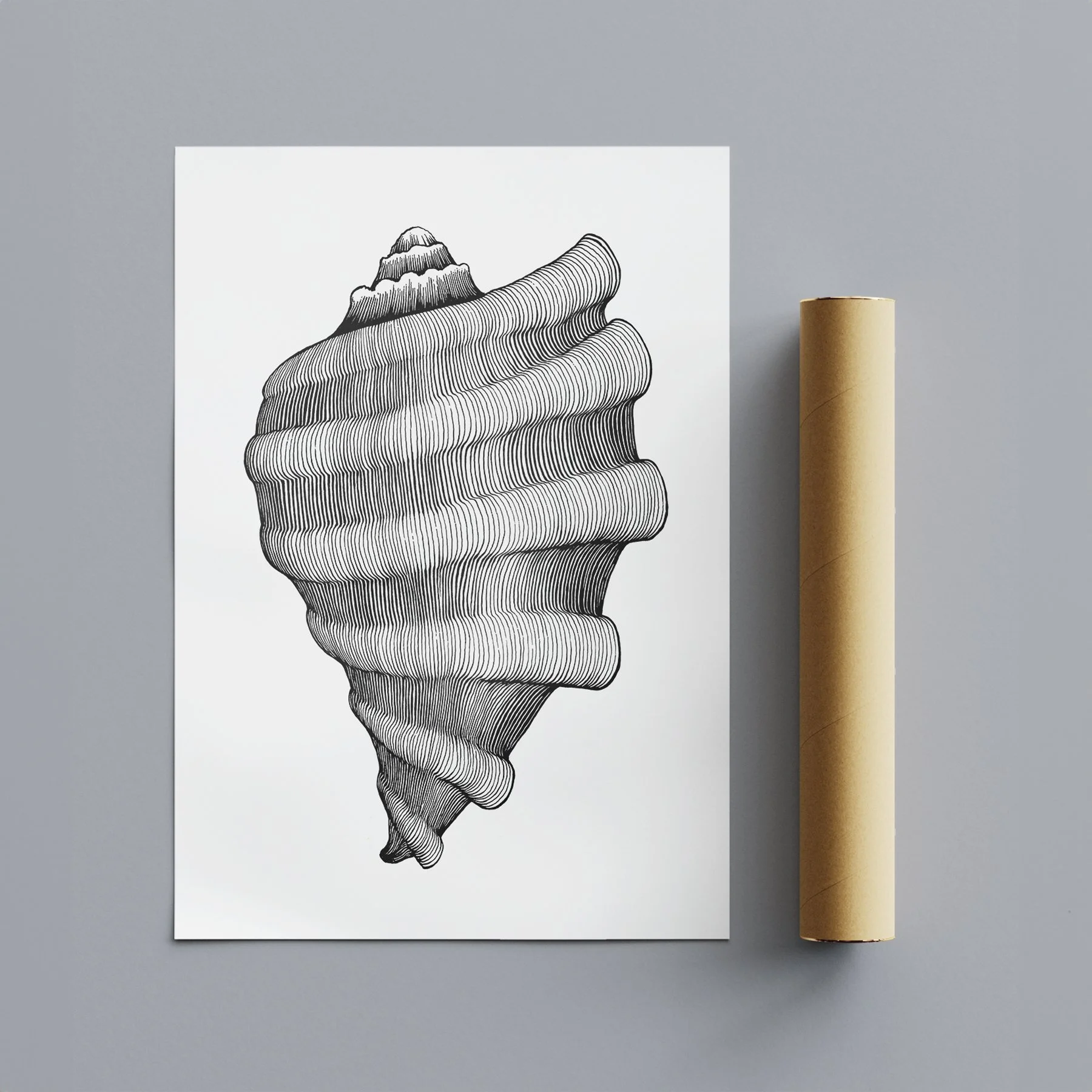 ASAI_ConchShell_PrintAndTube.jpg