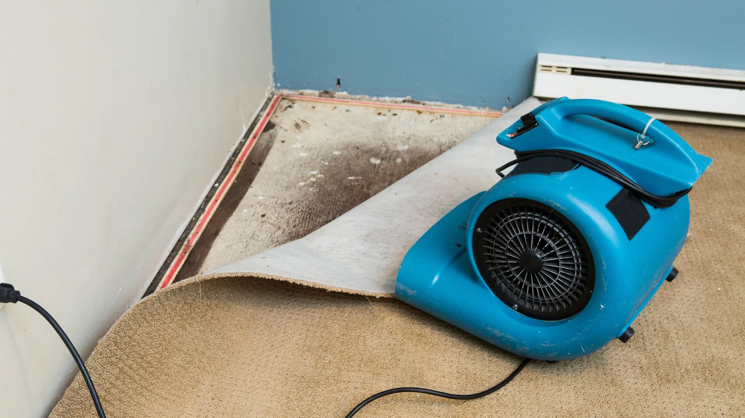 What to Do in the First 24 Hours After a Flood (Adelaide)