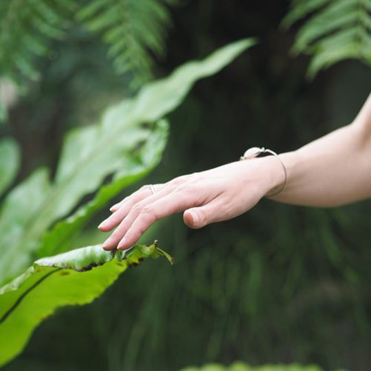 Healing Touch Cancer Support Group