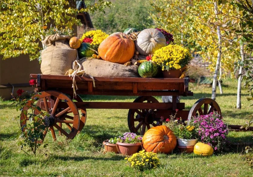 Fall Fest