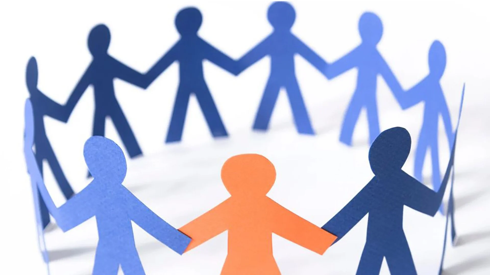 The Gainesville Chronic Illness Care Group 