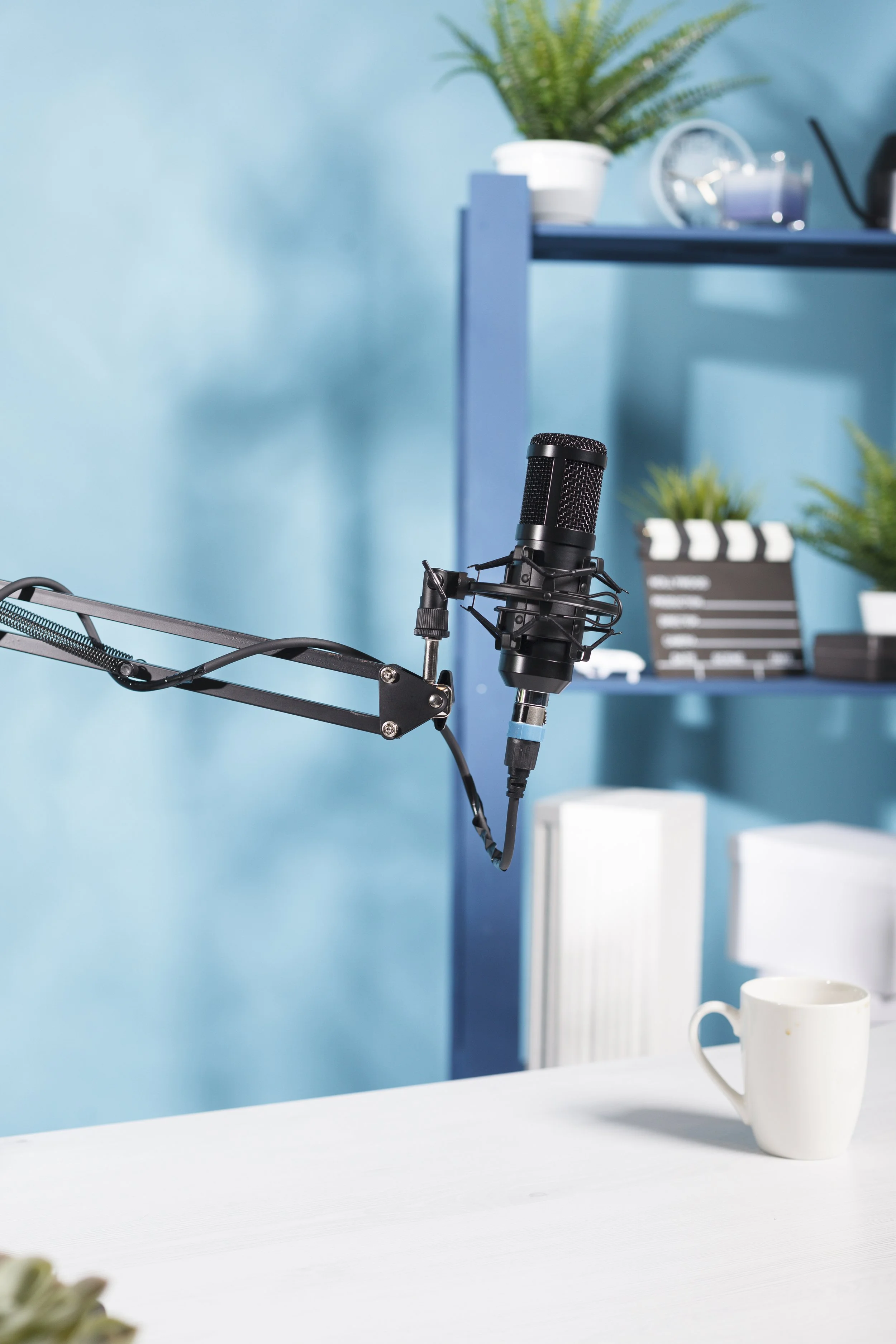 Black microphone suspended in front of a blue wall with shelves and plants in the background.