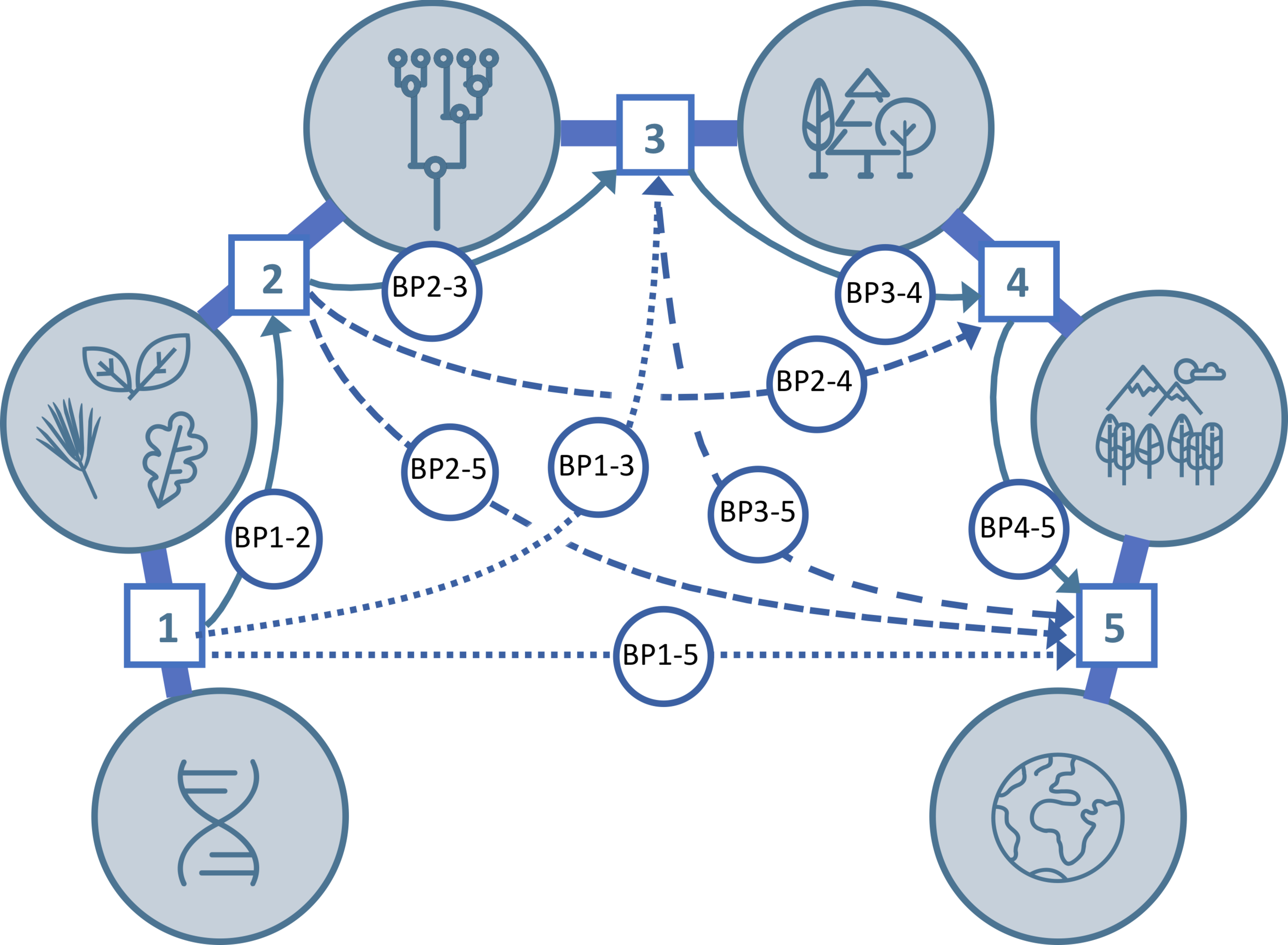 Bridging Projects