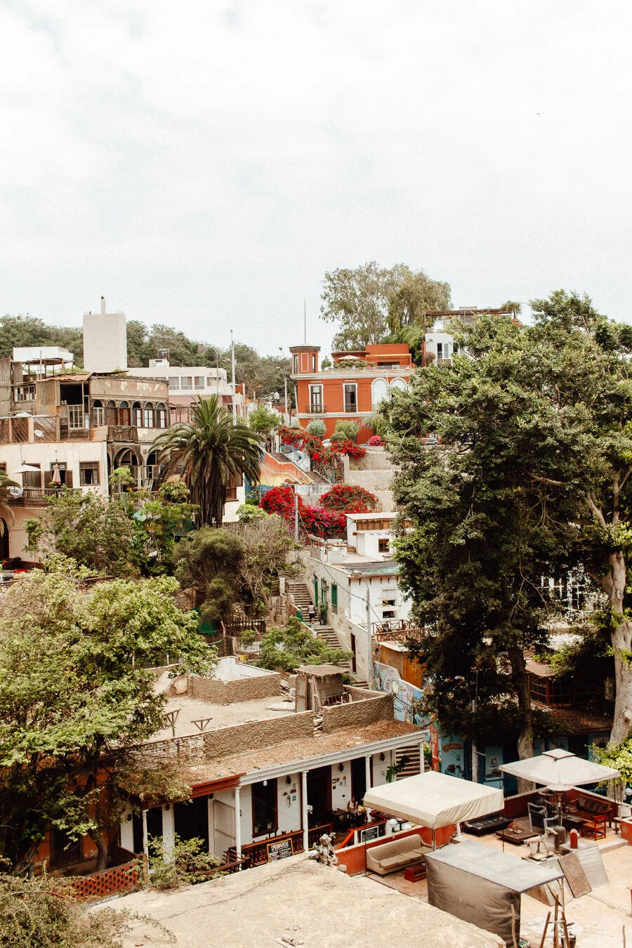 lima_social-68.jpg